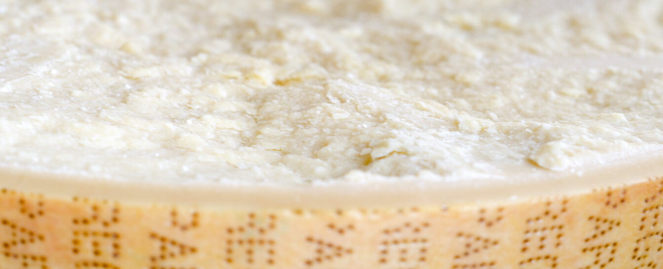 Forme e pezzi di Parmigiano Reggiano nella stagionatura Bertoni
