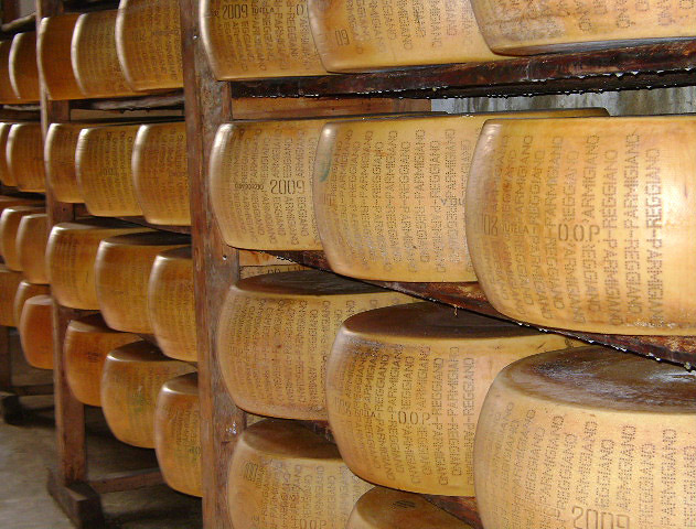 Forme di Parmigiano Reggiano Bertoni in stagionatura